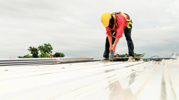 Best Roof Moss and Algae Removal  in Grand Island, NE